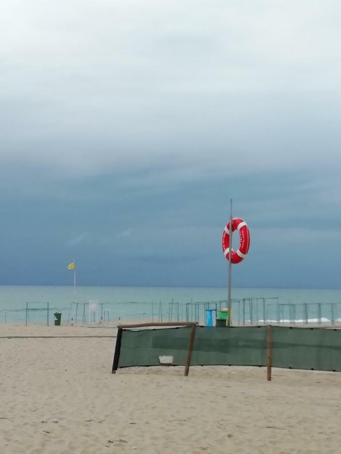 A Sardinha Verde Salir de Porto ภายนอก รูปภาพ